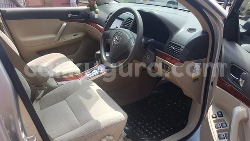 Big with watermark 55625709 2450799655141988 1725618353730486272 n