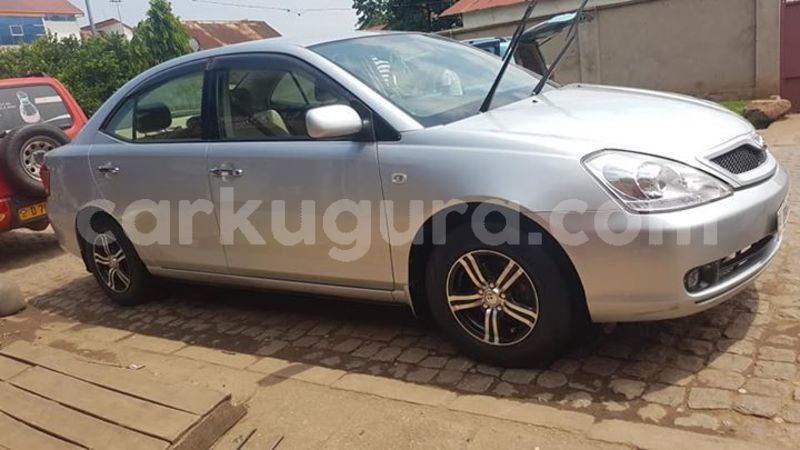 Big with watermark 56571127 2450799621808658 7788594334240079872 n