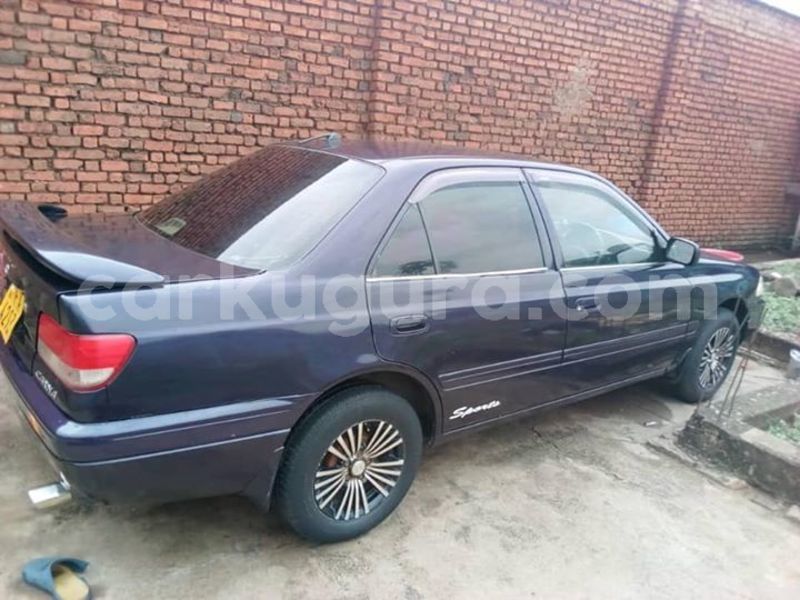 Big with watermark 55949866 2450286671859953 6919888957551411200 n