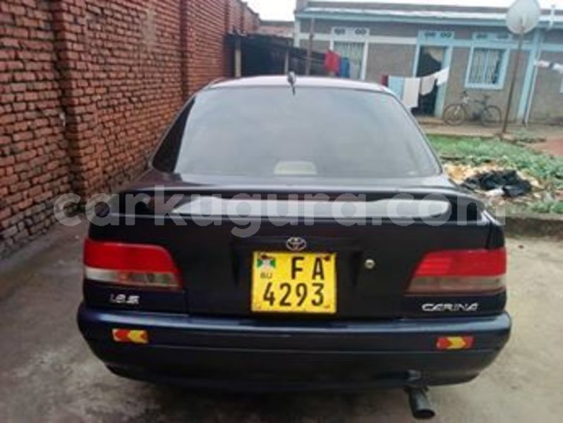 Big with watermark 56555923 2450286641859956 3486562160635543552 n