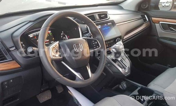 Acheter Import Moto Honda C Autre à Import - Dubai, Bujumbura Acheter Import Moto Honda C Autre à Import - Dubai, Bujumbura