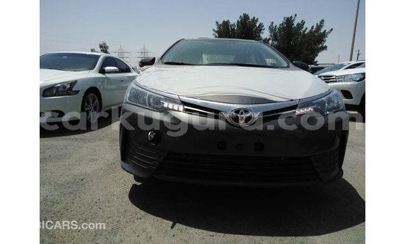 Buy Import Toyota Corolla Other Car in Import - Dubai in Bujumbura Buy Import Toyota Corolla Other Car in Import - Dubai in Bujumbura