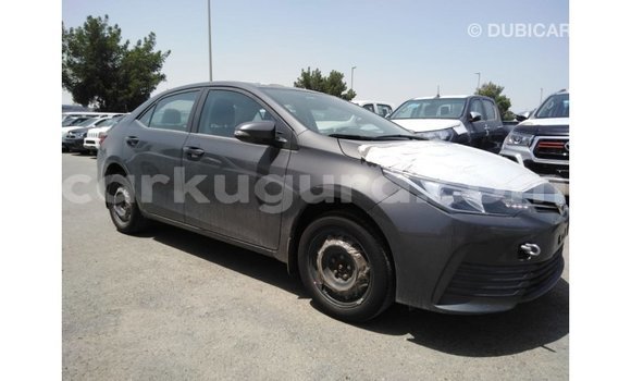 Buy Import Toyota Corolla Other Car in Import - Dubai in Bujumbura Buy Import Toyota Corolla Other Car in Import - Dubai in Bujumbura