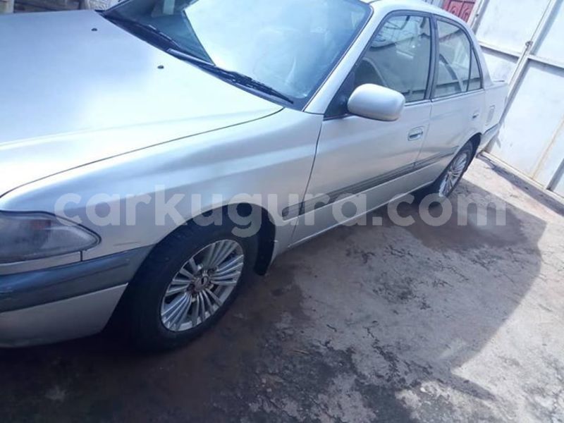 Big with watermark 57006266 2401352069888969 1594577630219206656 n