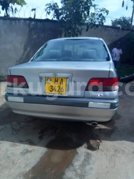 Big with watermark 57076334 2401352043222305 859499071340019712 n