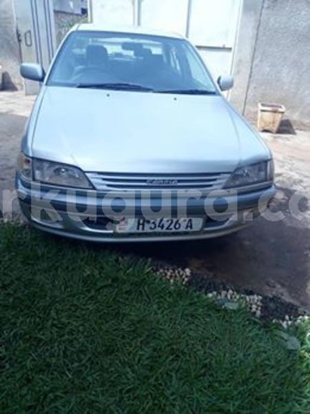 Big with watermark 57253363 2401351999888976 6106452491337990144 n