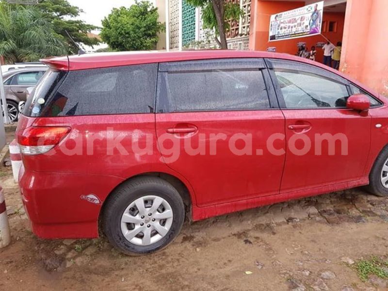 Big with watermark 56927302 2401352099888966 2038190792039727104 n