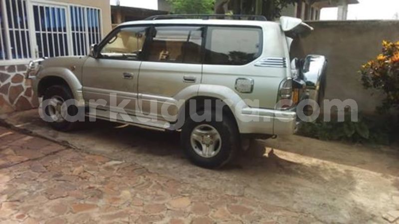 Big with watermark 56691511 2393964873961022 806030688464666624 n