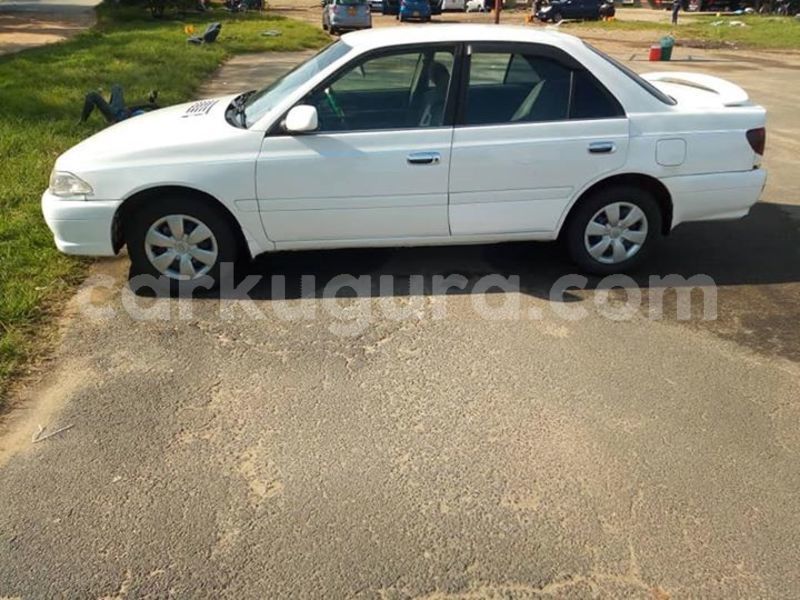 Big with watermark 56631986 2393793873978122 7656383850615930880 n