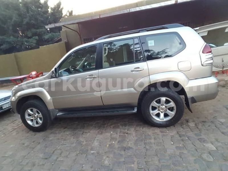 Big with watermark 56775646 2392136214143888 8727401252306026496 n