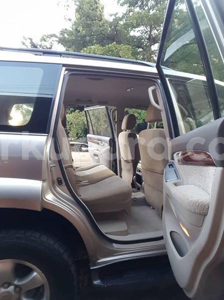 Big with watermark 56547321 2392136194143890 7324509004644745216 n