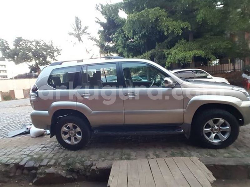 Big with watermark 56500827 2392136007477242 5130229145334185984 n