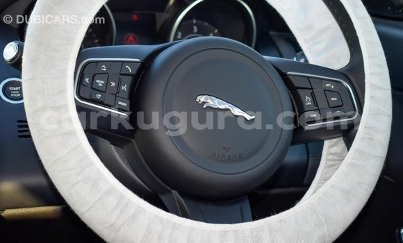 Buy Import Jaguar E-Pace Red Car in Import - Dubai in Bujumbura Buy Import Jaguar E-Pace Red Car in Import - Dubai in Bujumbura