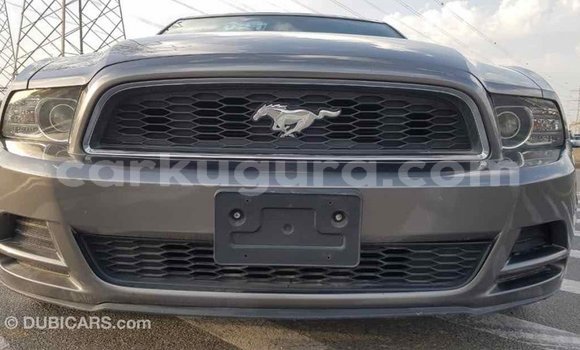 Nunua Imported Ford Mustang Nyingine Gari ndani ya Import - Dubai nchini Bujumbura Nunua Imported Ford Mustang Nyingine Gari ndani ya Import - Dubai nchini Bujumbura