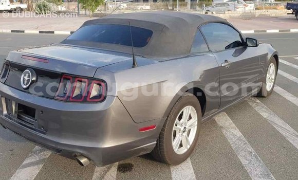 Nunua Imported Ford Mustang Nyingine Gari ndani ya Import - Dubai nchini Bujumbura Nunua Imported Ford Mustang Nyingine Gari ndani ya Import - Dubai nchini Bujumbura