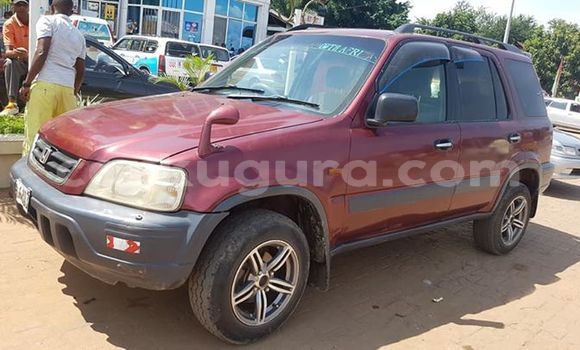 Acheter Occasion Voiture Honda CR–V Rouge à Bujumbura, Bujumbura Acheter Occasion Voiture Honda CR–V Rouge à Bujumbura, Bujumbura