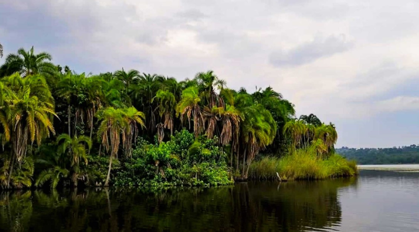 Screenshot 2026 01 17 114957