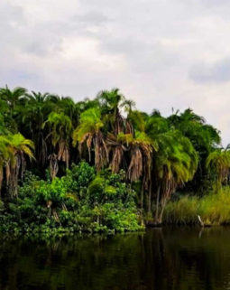 Thumb screenshot 2026 01 17 114957